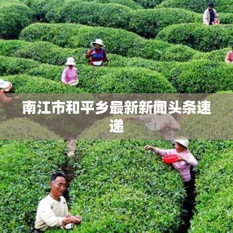 南江市和平鄉(xiāng)最新新聞?lì)^條速遞