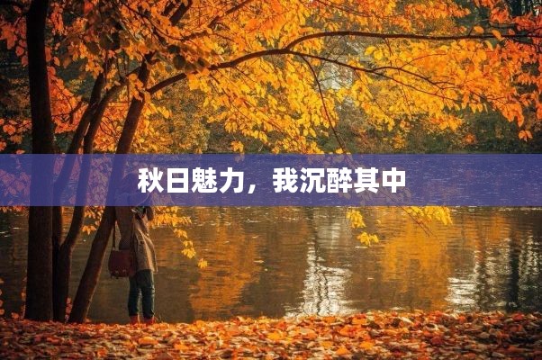 秋日魅力，我沉醉其中