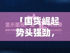 「國(guó)貨崛起勢(shì)頭強(qiáng)勁，中國(guó)制造崛起之路深度解析」