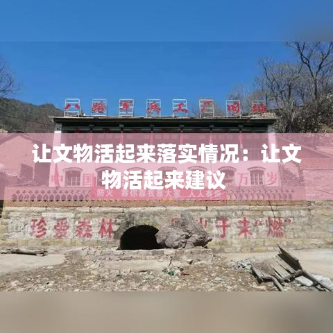 讓文物活起來落實(shí)情況：讓文物活起來建議 