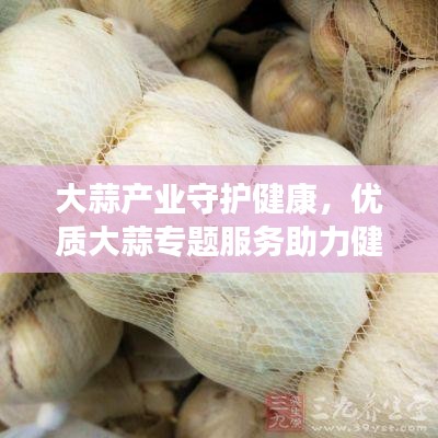 大蒜產(chǎn)業(yè)守護(hù)健康，優(yōu)質(zhì)大蒜專題服務(wù)助力健康之路