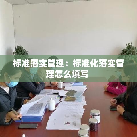 標(biāo)準(zhǔn)落實(shí)管理：標(biāo)準(zhǔn)化落實(shí)管理怎么填寫(xiě) 