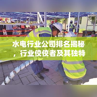 水電行業(yè)公司排名揭秘，行業(yè)佼佼者及其獨特風格盤點