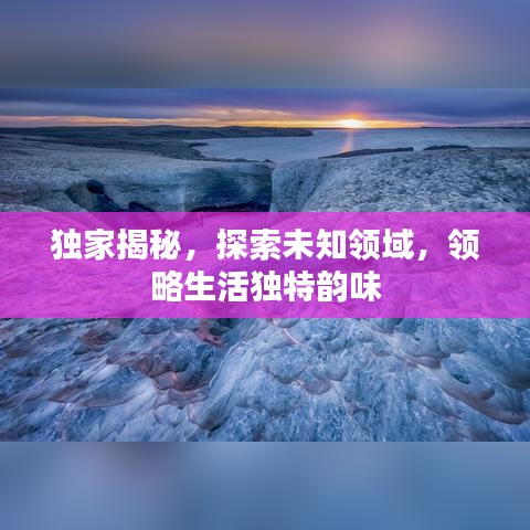 獨(dú)家揭秘，探索未知領(lǐng)域，領(lǐng)略生活獨(dú)特韻味