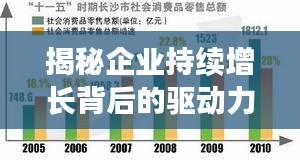 揭秘企業(yè)持續(xù)增長背后的驅(qū)動力，大業(yè)務(wù)持續(xù)拓展之路