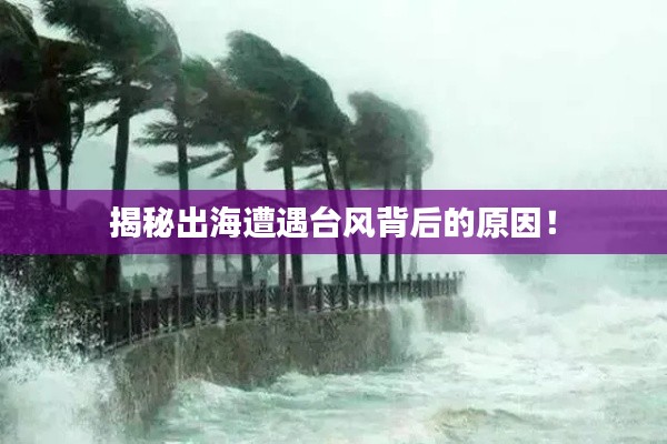 貴戚之卿 第3頁