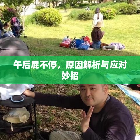午后屁不停，原因解析與應對妙招