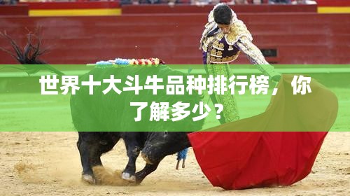 世界十大斗牛品種排行榜，你了解多少？