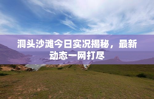 洞頭沙灘今日實況揭秘，最新動態(tài)一網打盡