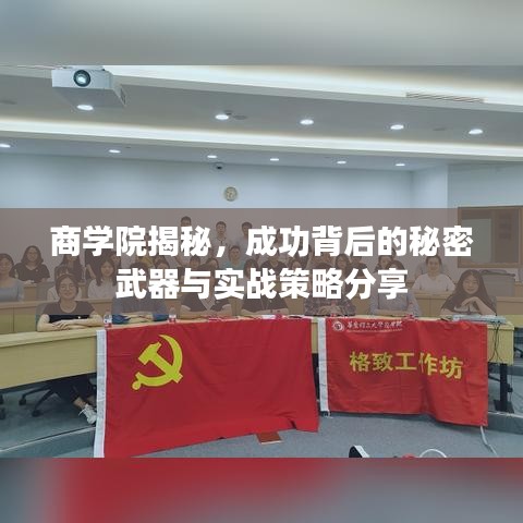 商學(xué)院揭秘，成功背后的秘密武器與實(shí)戰(zhàn)策略分享