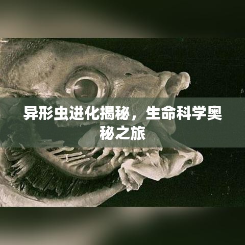異形蟲進(jìn)化揭秘，生命科學(xué)奧秘之旅