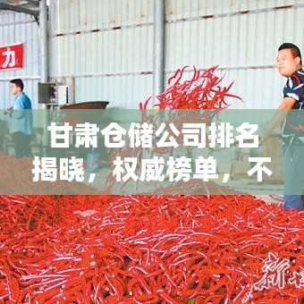 甘肅倉(cāng)儲(chǔ)公司排名揭曉，權(quán)威榜單，不容錯(cuò)過(guò)！