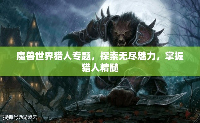 魔獸世界獵人專題，探索無(wú)盡魅力，掌握獵人精髓