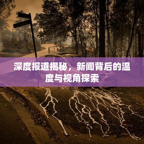 深度報道揭秘，新聞背后的溫度與視角探索