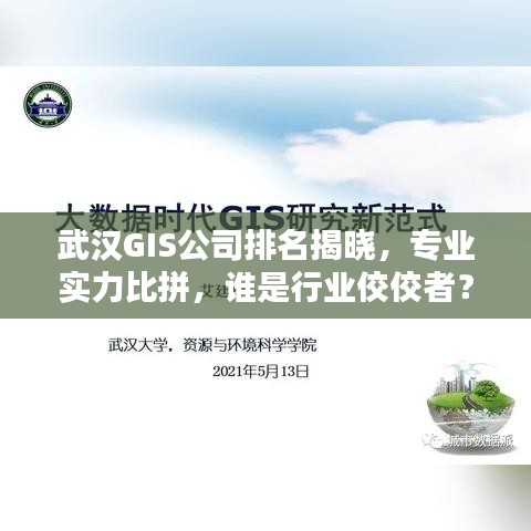 武漢GIS公司排名揭曉，專業(yè)實力比拼，誰是行業(yè)佼佼者？
