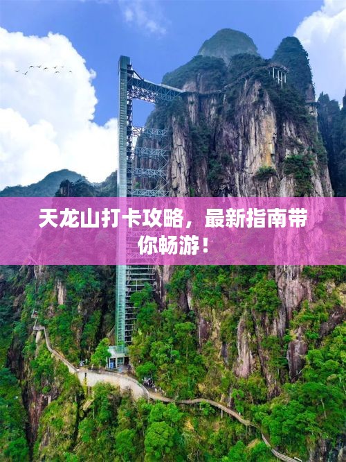 天龍山打卡攻略，最新指南帶你暢游！