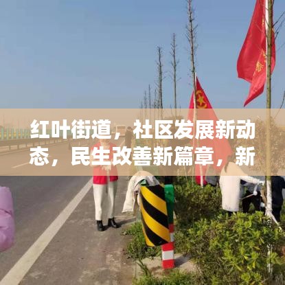 紅葉街道，社區(qū)發(fā)展新動態(tài)，民生改善新篇章，新聞頭條搶先看！