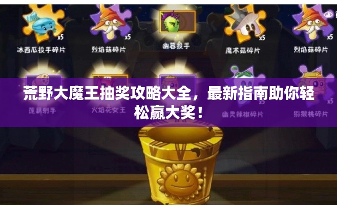 荒野大魔王抽獎(jiǎng)攻略大全，最新指南助你輕松贏大獎(jiǎng)！