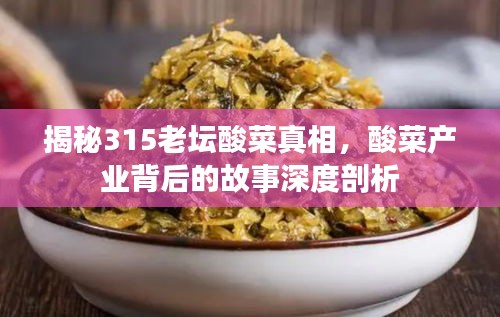 揭秘315老壇酸菜真相，酸菜產(chǎn)業(yè)背后的故事深度剖析