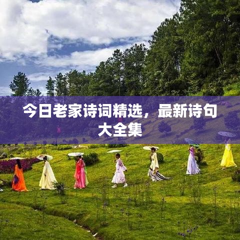 今日老家詩詞精選，最新詩句大全集