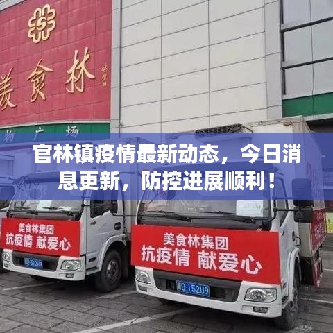 官林鎮(zhèn)疫情最新動(dòng)態(tài)，今日消息更新，防控進(jìn)展順利！