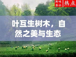 葉互生樹木，自然之美與生態(tài)和諧的獨特象征
