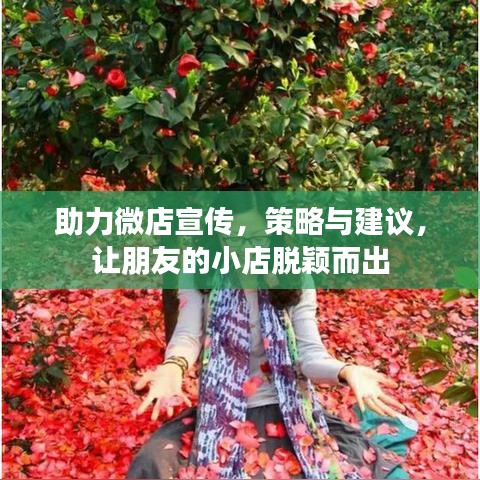 助力微店宣傳，策略與建議，讓朋友的小店脫穎而出