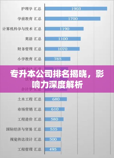 專升本公司排名揭曉，影響力深度解析
