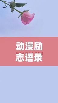 動漫勵志語錄與日文表達(dá)，激勵你的力量之源
