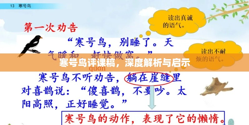 寒號(hào)鳥評(píng)課稿，深度解析與啟示