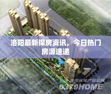 洛陽最新探房資訊，今日熱門房源速遞