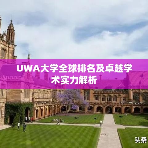UWA大學(xué)全球排名及卓越學(xué)術(shù)實力解析