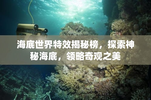 海底世界特效揭秘榜，探索神秘海底，領(lǐng)略奇觀之美