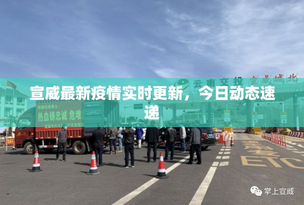 宣威最新疫情實(shí)時(shí)更新，今日動(dòng)態(tài)速遞
