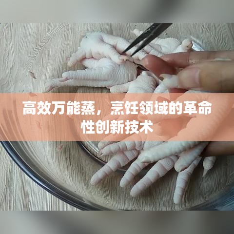 高效萬能蒸，烹飪領域的革命性創(chuàng)新技術
