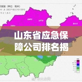 山東省應(yīng)急保障公司排名揭秘，行業(yè)深度分析與洞察
