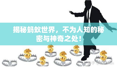揭秘螞蟻世界，不為人知的秘密與神奇之處！