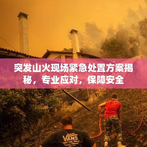 突發(fā)山火現(xiàn)場(chǎng)緊急處置方案揭秘，專(zhuān)業(yè)應(yīng)對(duì)，保障安全