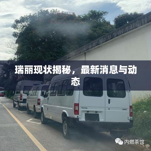 瑞麗現(xiàn)狀揭秘，最新消息與動態(tài)