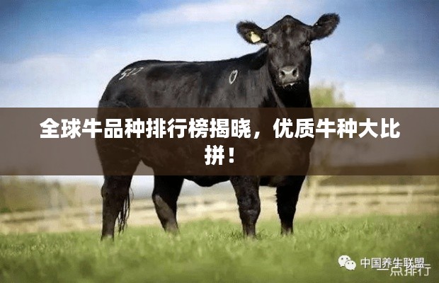 全球牛品種排行榜揭曉，優(yōu)質(zhì)牛種大比拼！