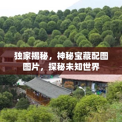 獨(dú)家揭秘，神秘寶藏配圖圖片，探秘未知世界