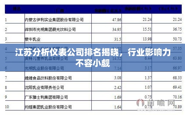 江蘇分析儀表公司排名揭曉，行業(yè)影響力不容小覷