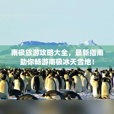 南極旅游攻略大全，最新指南助你暢游南極冰天雪地！