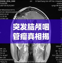 臥薪嘗膽 第3頁