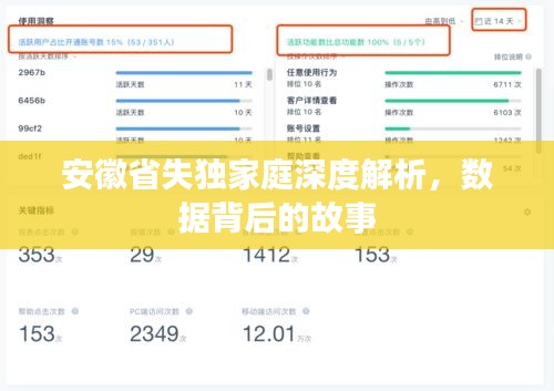 安徽省失獨(dú)家庭深度解析，數(shù)據(jù)背后的故事