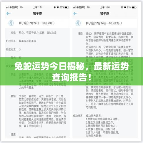 兔蛇運(yùn)勢(shì)今日揭秘，最新運(yùn)勢(shì)查詢報(bào)告！