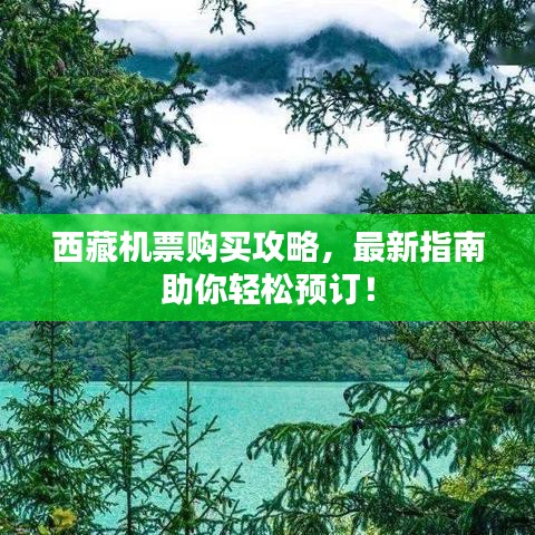 西藏機票購買攻略，最新指南助你輕松預訂！