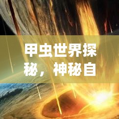 甲蟲世界探秘，神秘自然寶藏的旅游攻略