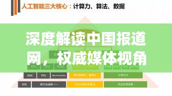 深度解讀中國報道網，權威媒體視角，洞悉時事熱點