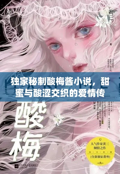 獨(dú)家秘制酸梅醬小說(shuō)，甜蜜與酸澀交織的愛(ài)情傳奇